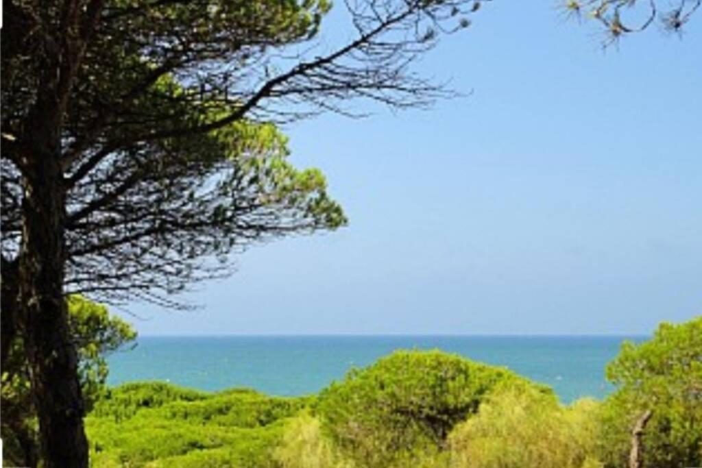 Acogedor Apartamento A 100 M. De Pinares Y Playa Apartamento Rota Exterior foto